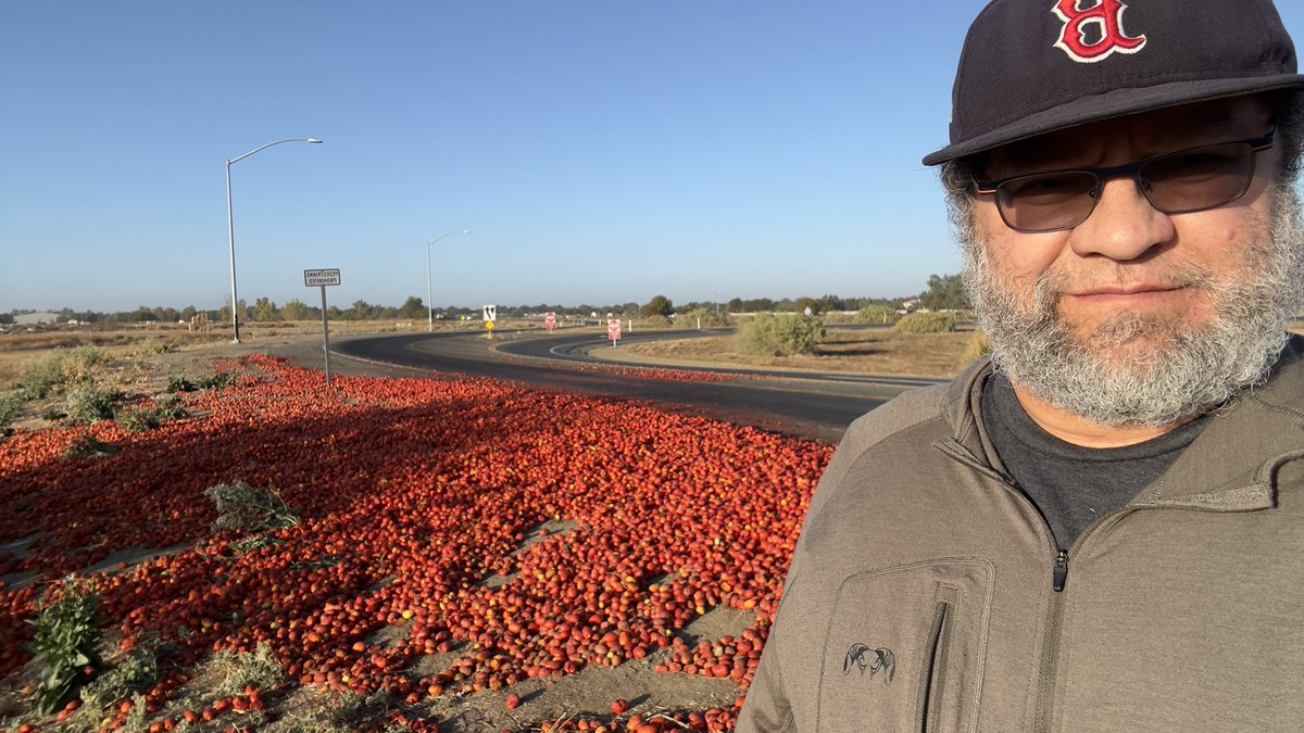 phylogenomics's tweet photo. Free tomatoes - Road 29 and Highway 113 in Davis CA https://t.co/IsUgZBHXAt