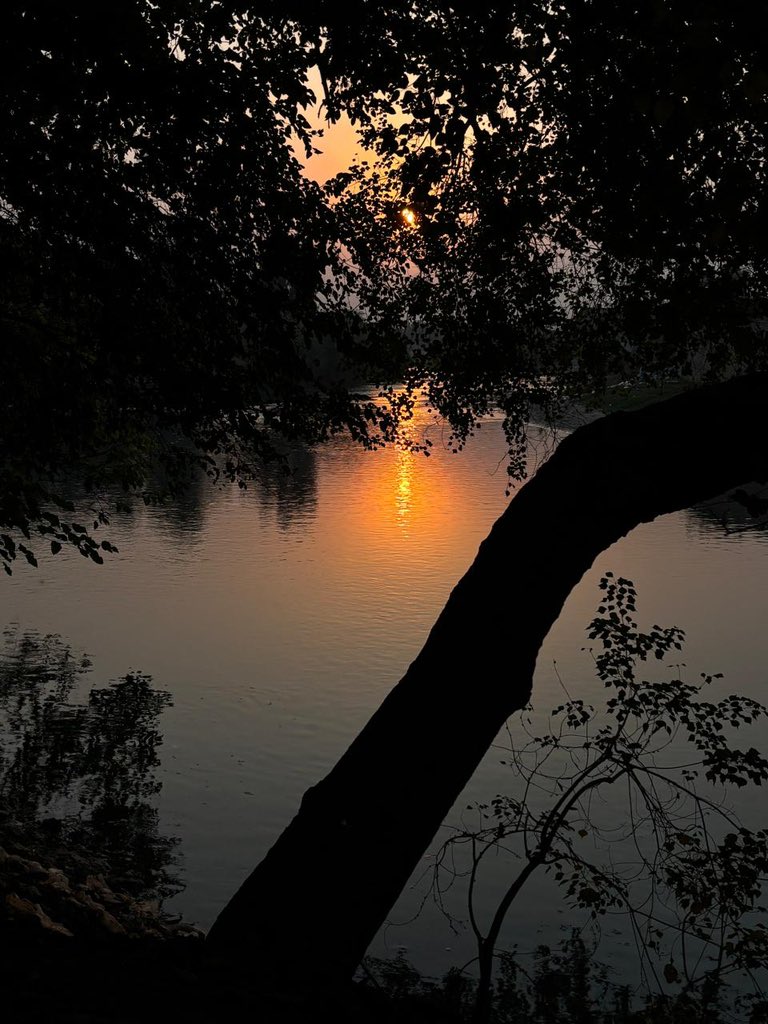 rosie_88i's tweet photo. Some sunsets don’t need a perfect view—they just need a quiet moment.  

The way the golden light slips through the trees, dances across the water, and slowly fades into the evening feels like nature reminding us to slow down. There’s something peaceful about watching the world become quiet, even for a few minutes.

Maybe not every moment needs to be captured, explained, or shared. Some moments are simply meant to be felt.  

Here’s to peaceful evenings, beautiful views, and finding a little calm in the middle of everything.