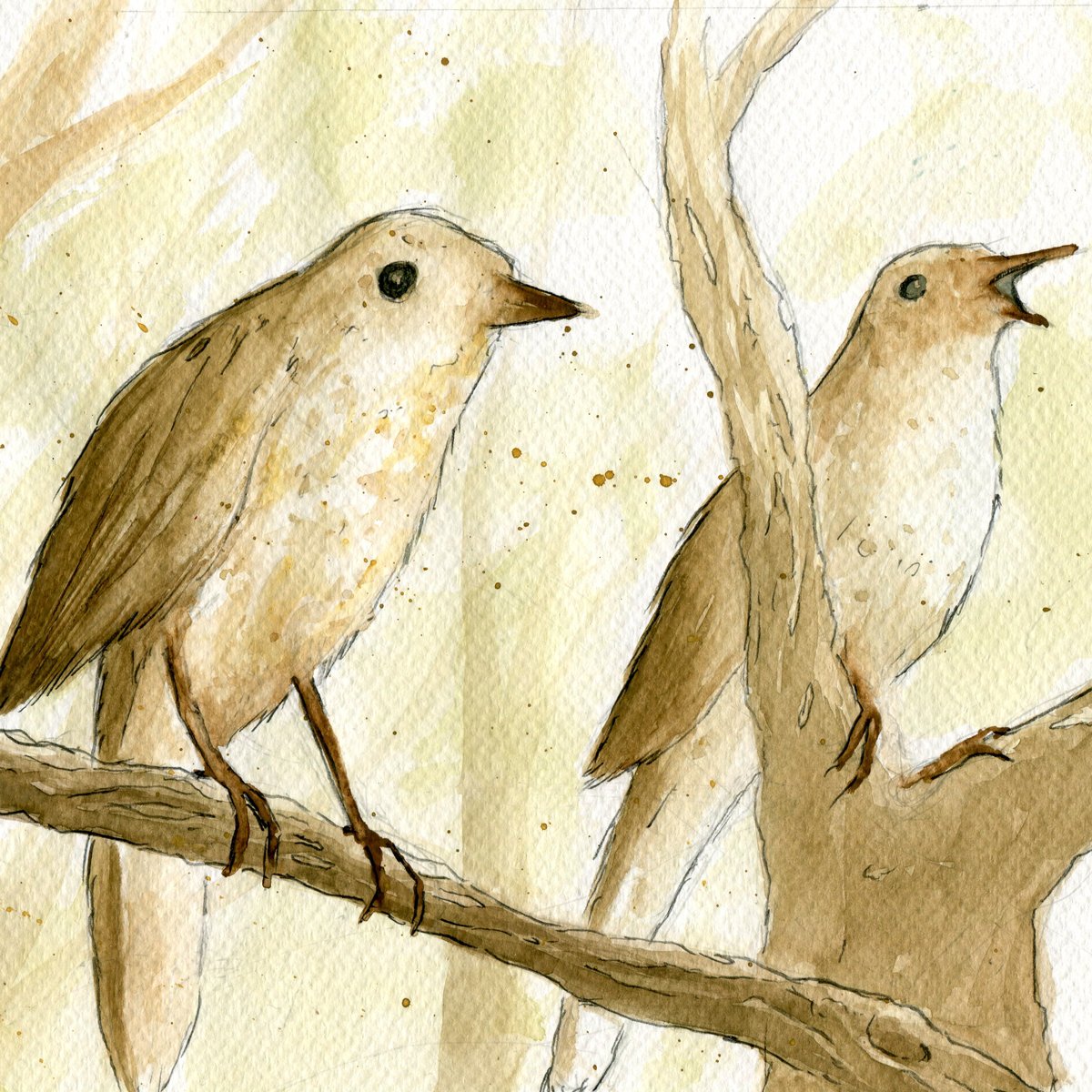 bran_tvod's tweet photo. 2 rossignols . illustration pour un client
#pyrenees #bandedessinee #illustrateur #birds #natureart https://t.co/euOkf67aOt