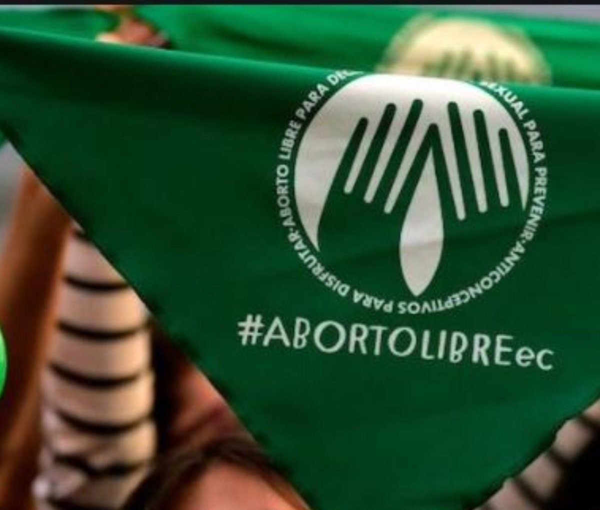 gabiguerreroi's tweet photo. Ni presas por abortar, ni muertas por intentar. Hoy y siempre exigimos autonomía: ¡el aborto será libre, seguro y gratuito! 💚🔥
​#28S #GritoGlobalPorElAbortoLegal https://t.co/d4e2qrpmrn