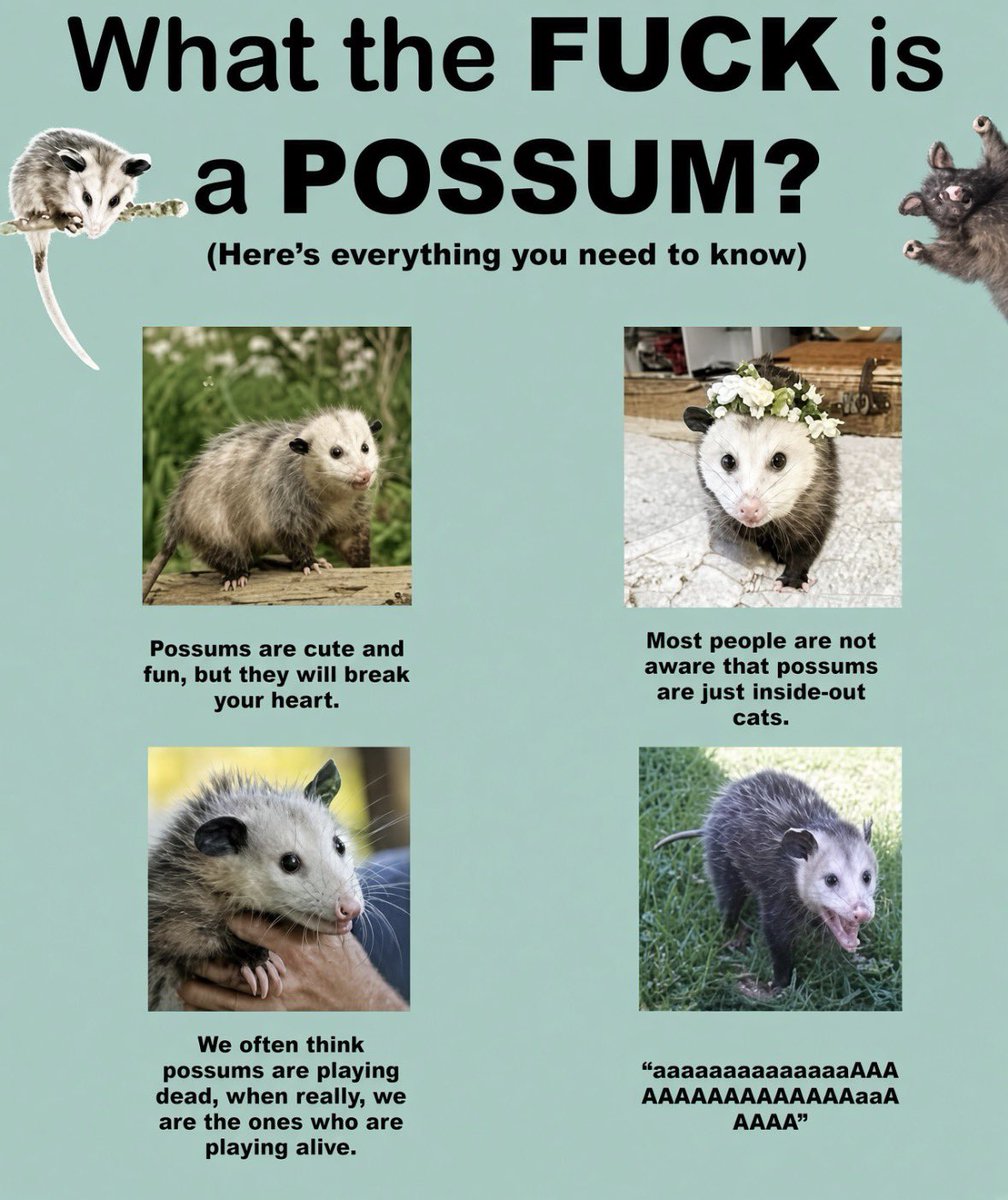 VirginiaOPossum's tweet photo. educate yourself before you speak https://t.co/pNTnV5Wg8D