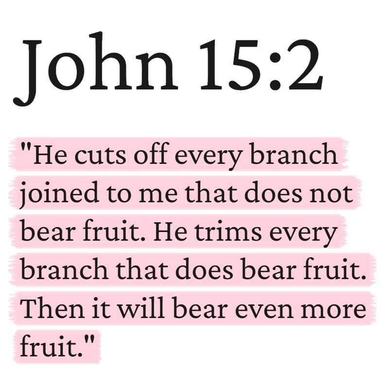PositivePsalms's tweet photo. https://t.co/lAuVAq6VyC