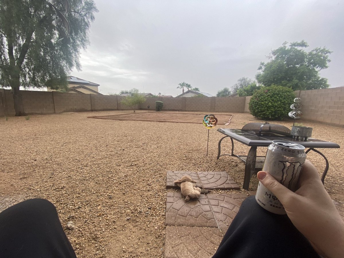 AardiVark's tweet photo. no sleep. caffeine &amp; rain. still can’t wipe this stupid smile off my face https://t.co/EH5iQ4aK6c
