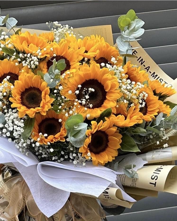 sunflowerchives's tweet photo. What i love🌻 https://t.co/kSGNwH1xJK