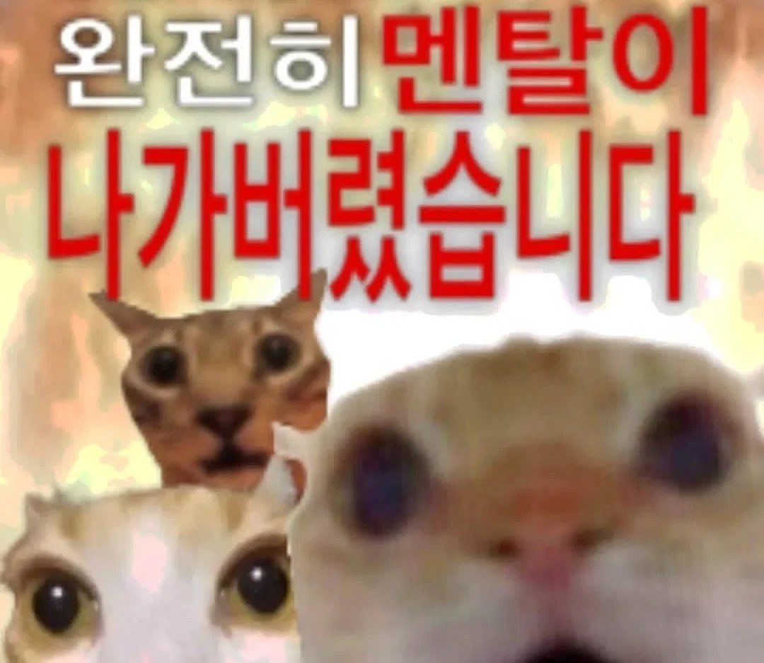 MARL_TV's tweet photo. 심심해서 여돌 남돌 구절판 함
쓰리디 나옴 주의  ㄷㄷ https://t.co/ih85MK2HXd