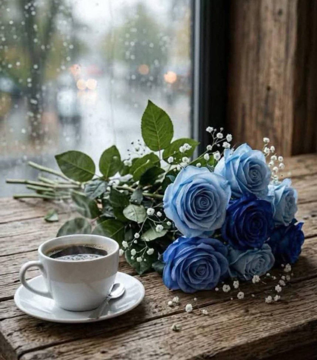 L7N956's tweet photo. 🍃🩵

"اكبر انجاز قد تمنحه لذاتك هو راحة
بالك وعدم ادراج نفسك بما لا فائدة لك به."

- https://t.co/Cvp4Mq6y9r