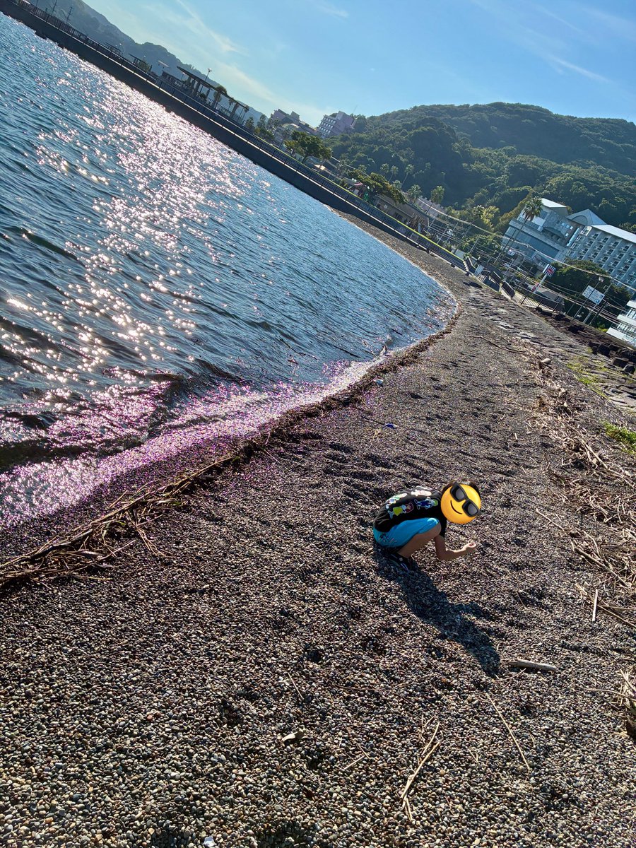 utofService's tweet photo. 恒例になってきた海岸での石や貝拾い
前回の三浦半島では大きな漂着物が多かったですがここは砂利がいっぱい
砂利の中から極小の貝を探していました🐚 https://t.co/dE9WfyWpgS