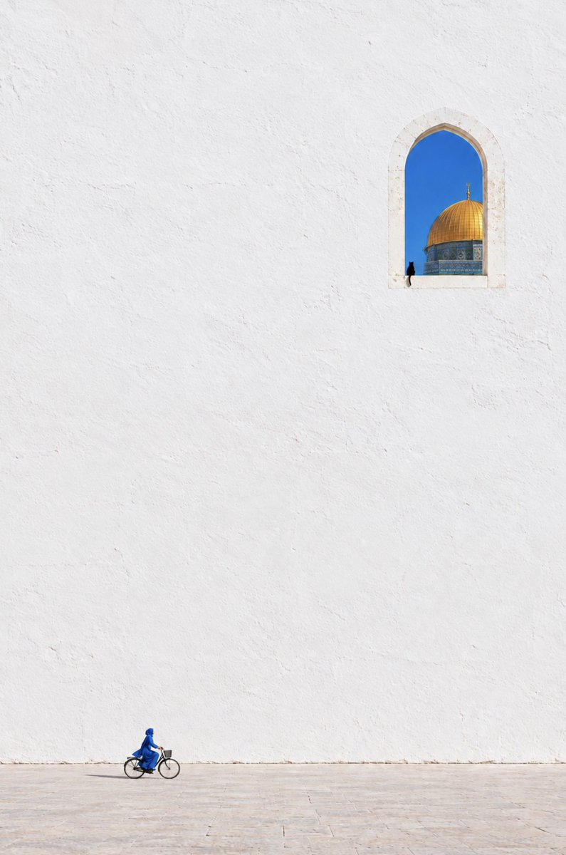 aseelswaid9's tweet photo. One of my works, Palestine 🇵🇸 https://t.co/TdV1smQJSe