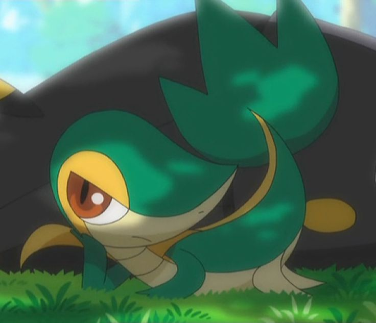 SERPERI0RITY's tweet photo. This is why Snivy is Queen, she didn't need any of that. Just a cuntress with her sassy attitude. https://t.co/1yPDRt0IPW