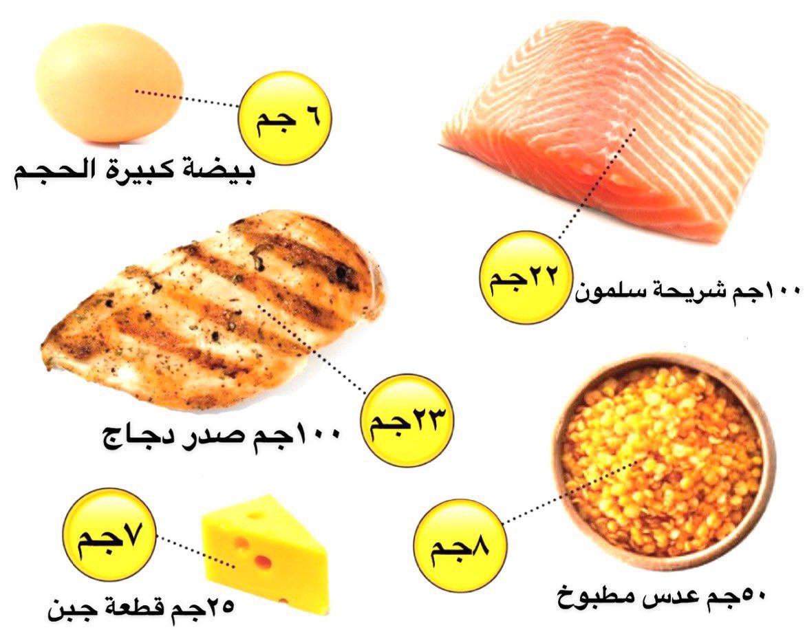 E_Albakheet's tweet photo. ⚫️من فوائد #البروتين :

1️⃣أساسي لبناء العضلات
2️⃣تخليق الأنزيمات-الهرمونات
3️⃣لعمليات الأيض 
4️⃣صحة الغضاريف 
5️⃣بتكوين ألبومين الدم
6️⃣تعزيز المناعة
7️⃣مكون أساسي لأنسجة-الشعر-الأظافر

⚪️للطاقة كل ١جم بروتين⬅️يعطي ٤ سعرات حرارية

🟡بعض المصادر المنوّعة للبروتين👇 https://t.co/y4Cr5cDKLj