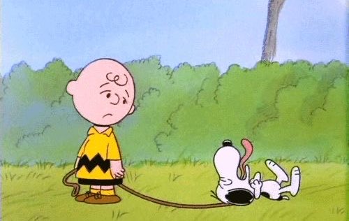 DailySnoopys's tweet photo. https://t.co/JY2l7pjrA6