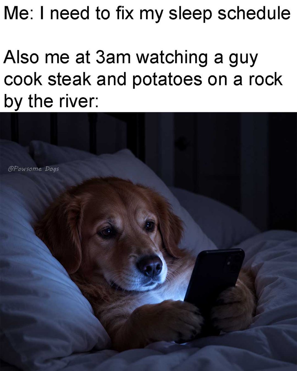 Doge_Is_Life_'s tweet photo. Every single night. 🤦♂️
#meme #memes #funnymeme #funnymemes #dog #dogmemes https://t.co/hJBnpjkaxF