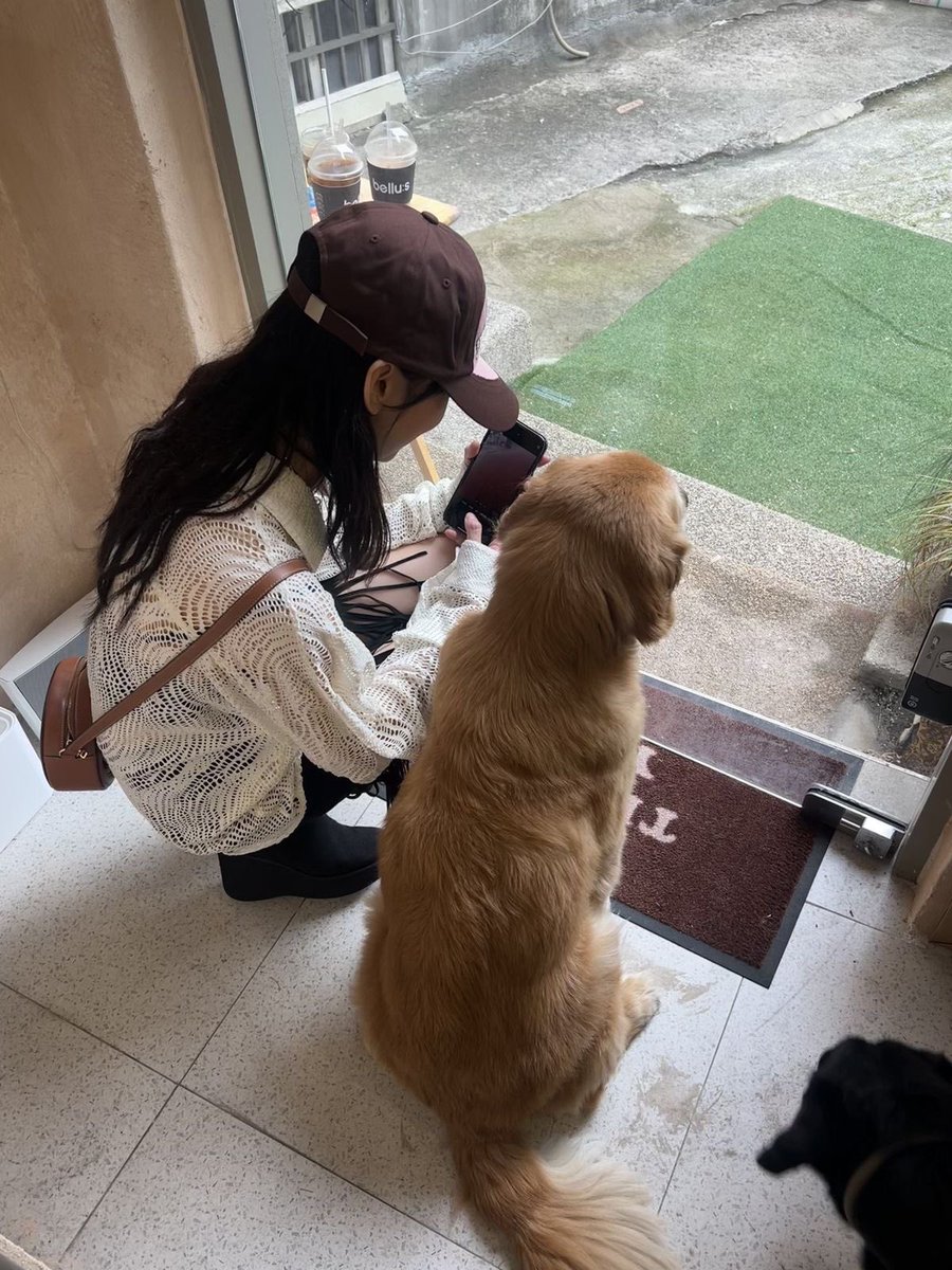 favhopeu's tweet photo. https://t.co/hp9fc40yVb