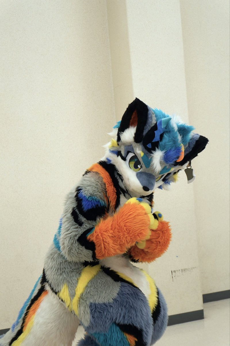 ErWilde_ZT's tweet photo. ライメイ @RAIMEI_FUR さん　ポーズかわいいくて、オレンジとブルーの模様がカッコよかった　#けもケット　 #けもケット17 https://t.co/GCu21e05ju