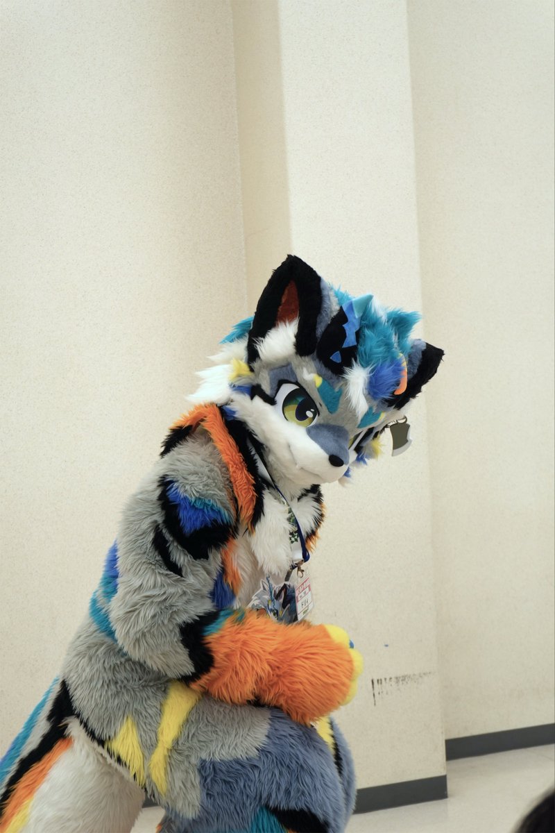 ErWilde_ZT's tweet photo. ライメイ @RAIMEI_FUR さん　ポーズかわいいくて、オレンジとブルーの模様がカッコよかった　#けもケット　 #けもケット17 https://t.co/GCu21e05ju