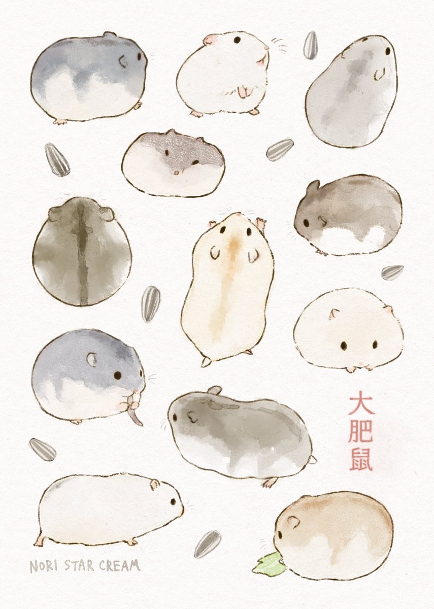 NORISTARCREAM's tweet photo. このハム絵に使ってる

「大肥鼠」

この単語、中国語で「ダーフェイシュー」って読むんだけど、直訳すると「デブ鼠」という超悪口になります。
なので中国のファンの子からめちゃくちゃウケてます😂
私はこの字面がジワジワきて超好き。大肥鼠。 https://t.co/lDXa0frBSp