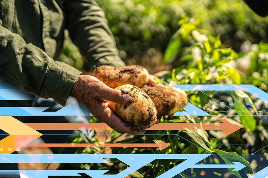 A new study focuses on forecasting future access to food, water, and energy in 2050.
Credits:
Credit: MIT News; iStock
