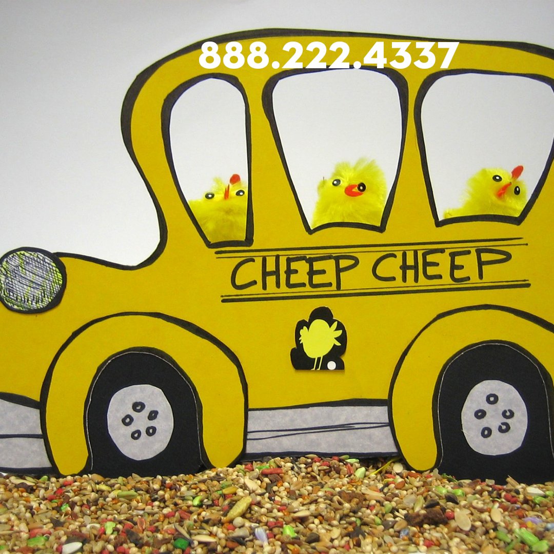 HunterMcMain's tweet photo. $100 OFF Printing + Mailing + Mailing List of 5,000 or more! #Auto #Crafts #Ceramic #Deli #Bakery #Ceramic #Gym #Spa #Beauty #Home #Pet #Insurance #Medical #Restaurant #KansasCity #StLouis #Springfield #Independence #Columbia #LeesSummit #OFallon #StJoseph https://t.co/1nIxvQLMpb https://t.co/Da7ucuOMEm