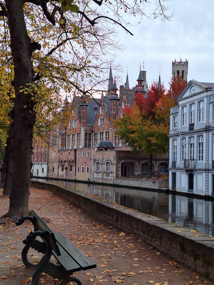 greenvibe's tweet photo. Nature in harmony with the city. https://t.co/iAA4DAedve