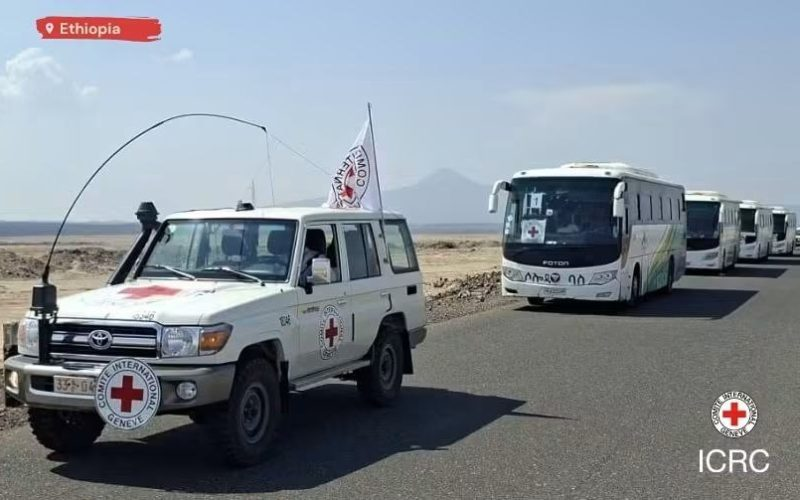 hornpulsemedia's tweet photo. The #ICRC says 161 people were moved from Mekelle to Semera by bus in an evacuation from conflict-hit #Tigray. The operation was carried out as a neutral intermediary with the relevant authorities’ request and approval. https://t.co/KQji0VthjC