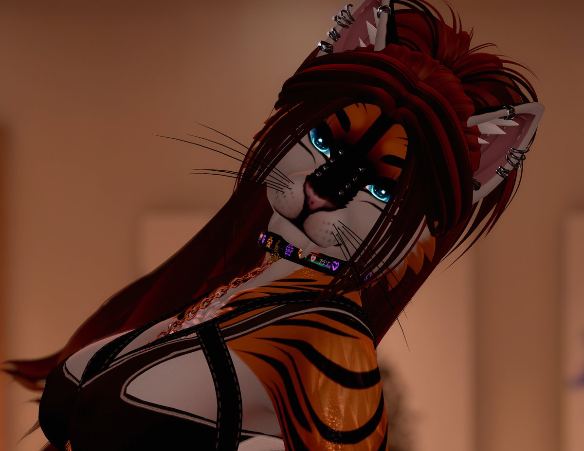 ChleocatVR's tweet photo. Have a good week ~ #vrchat https://t.co/bQeZxCg4m3