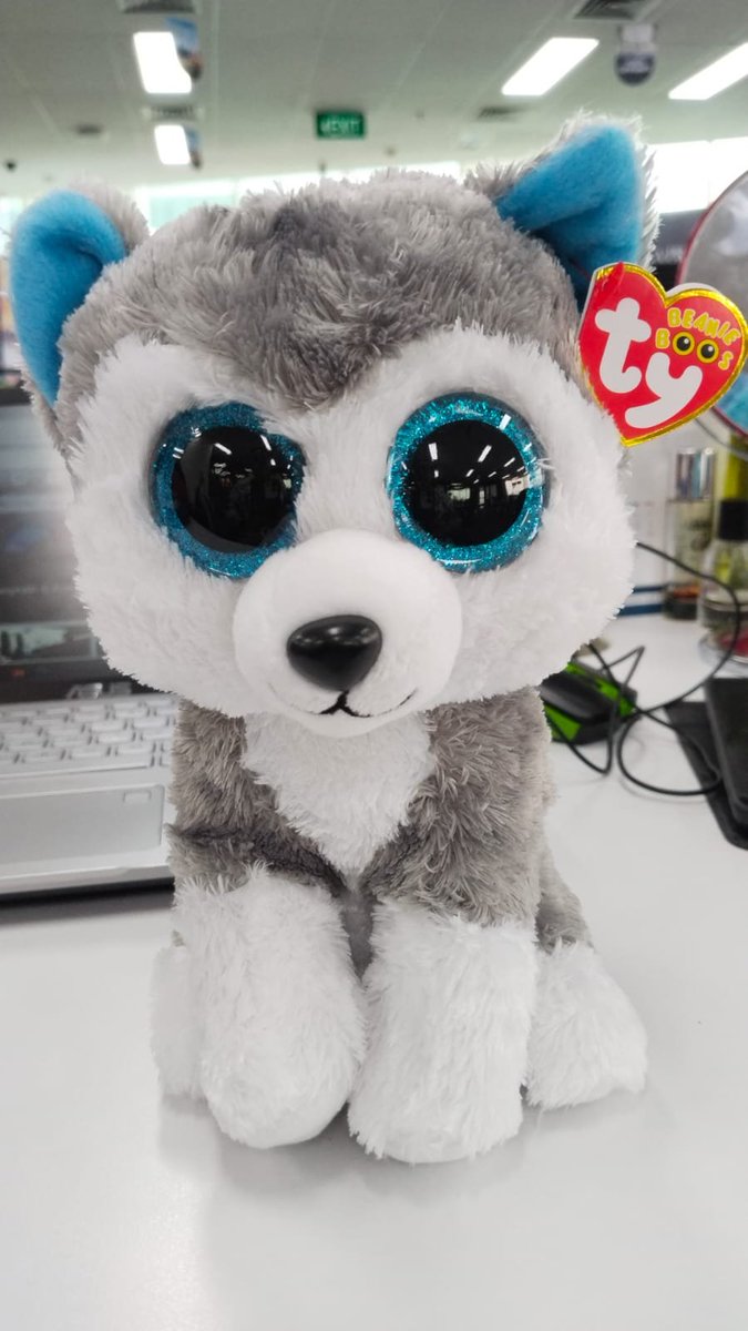 seaoceane_'s tweet photo. #WTS

TY Beanie Boos doll &amp; squishville blind box.

Halo aku open jastip mereka2 ini yaa, karena sekalian aku mau beli hehe. Barang2 nya bisa tanya ya ada apa aja

Price 25k/pcs

Yang mau bisa komen ya nanti aku gedor https://t.co/wBtU8jihzv