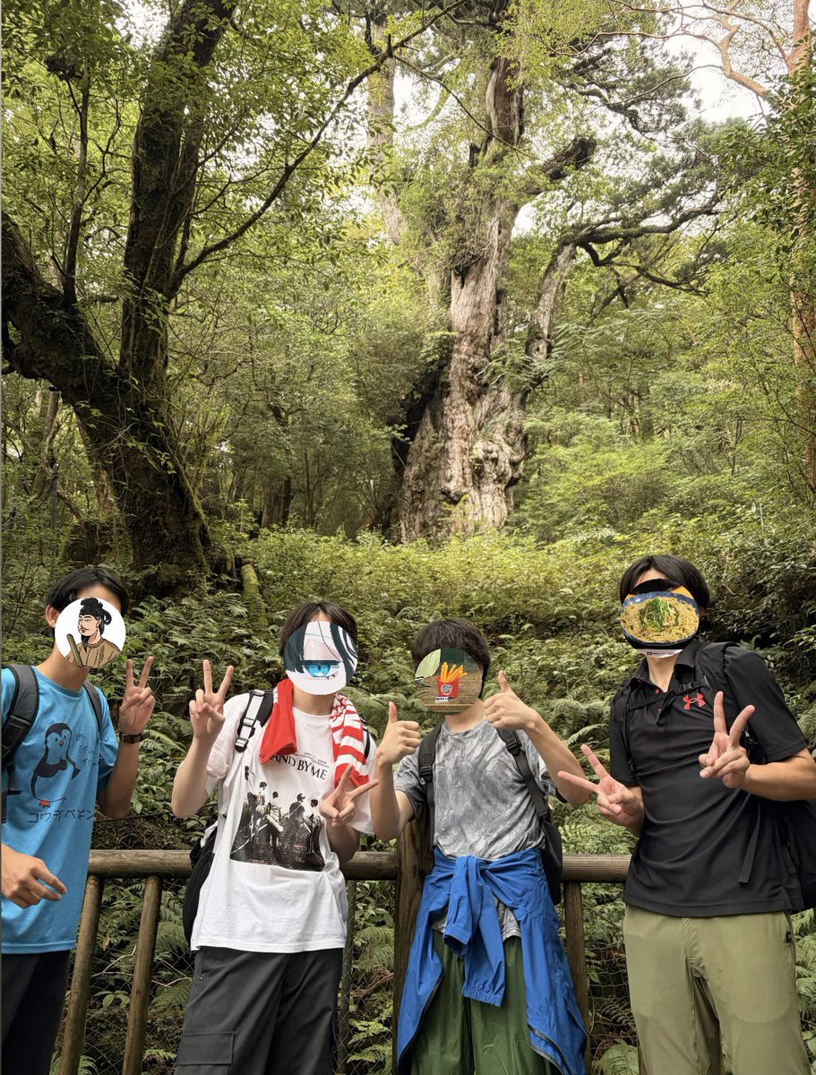 DoShiYo_Noda's tweet photo. シルバーウィークin屋久島
コケ太子に引率してもらいました！めちゃくちゃよかったですまた行きたいな🌳
編集のやる気が湧けばまた動画を上げるかもしれません🫠 https://t.co/Eb67uqBdIv
