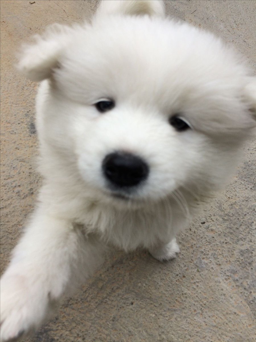 kzhmya's tweet photo. https://t.co/WtVSiutvEz