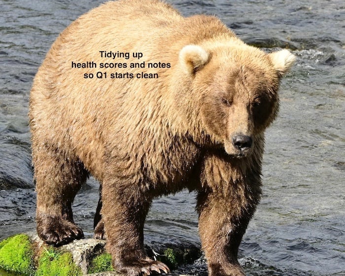 success_hacker's tweet photo. 🐻 It’s Fat Bear Week, and these fluffy guys are in the running to be crowned most prepared for the upcoming winter! ❄️
With Q4 looming, how are you preparing for the final months of the year?
#customersuccess #customersuccessmanager #successcoaching #FatBearWeek https://t.co/NvBCsDqLVl