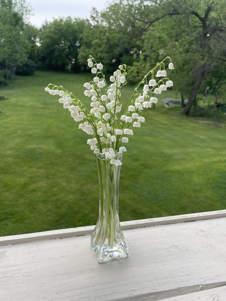 greenvibe's tweet photo. lily of the valley