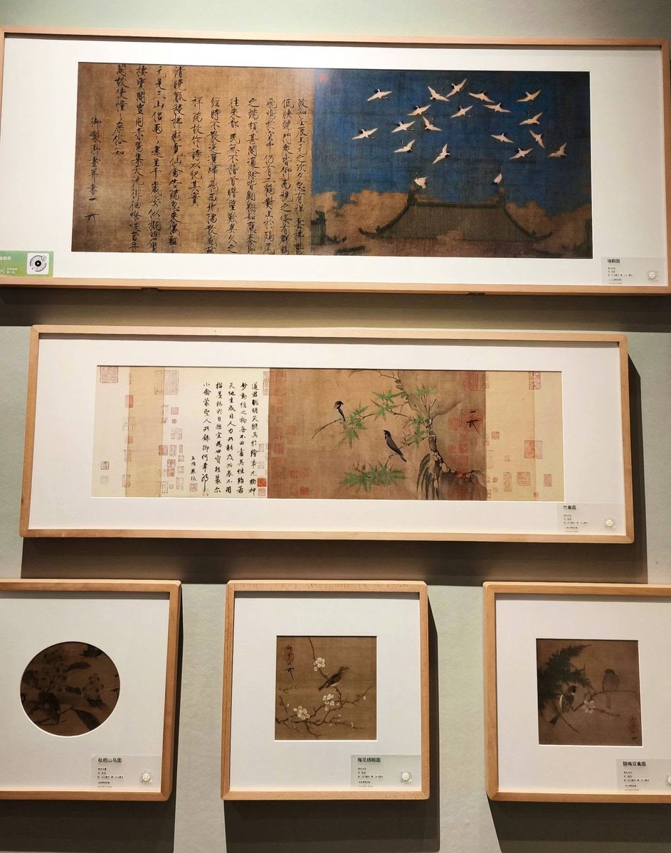junmaeda918's tweet photo. 開封博物館の書画の展示。最初にあったのが趙佶さんの画。一瞬、誰だっけ？と思いましたが、そうそう、天下の風流天子、徽宗皇帝御製ですね。 https://t.co/CmwyewvTuE