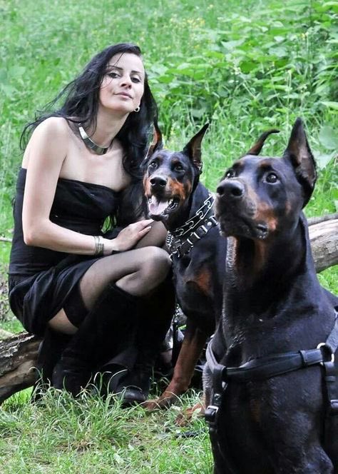 KirasKnotty's tweet photo. Public gets the soft side.
Private gets the real knotting.
Link in bio
#dogs #k9 #USA https://t.co/LKf6KBjyAo