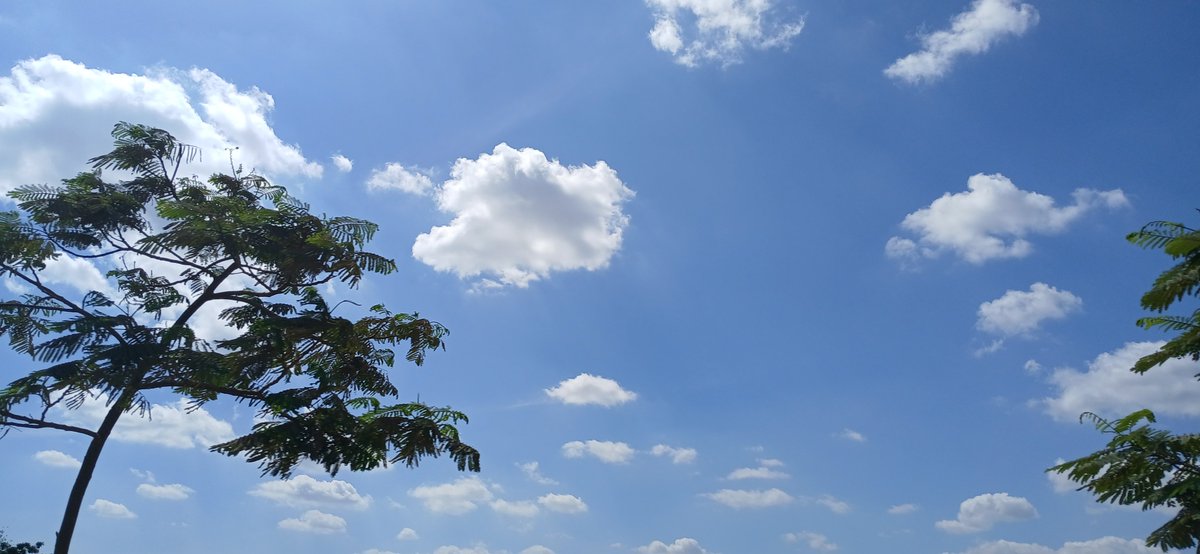 emanalghazaly's tweet photo. Sky full of clouds, heart full of peace.. ☁️✨ https://t.co/b5TsqdfIlX