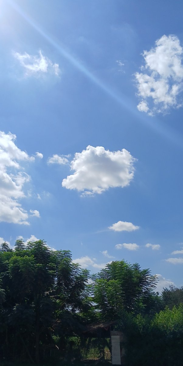 emanalghazaly's tweet photo. Sky full of clouds, heart full of peace.. ☁️✨ https://t.co/b5TsqdfIlX