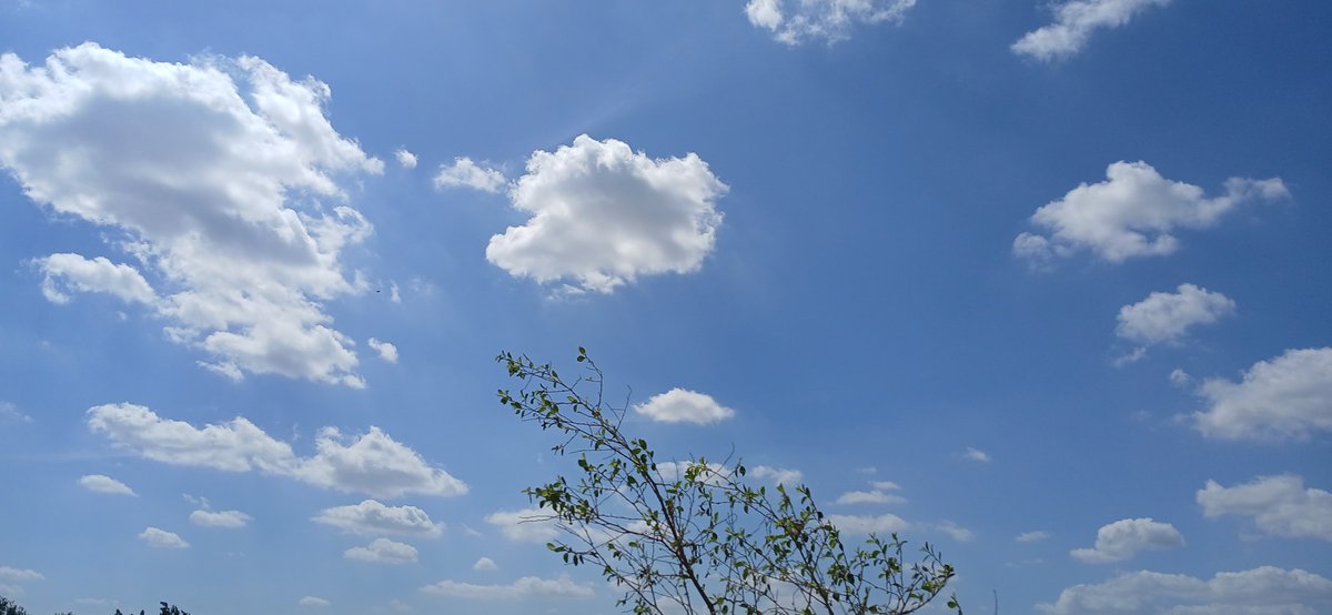 emanalghazaly's tweet photo. Sky full of clouds, heart full of peace.. ☁️✨ https://t.co/b5TsqdfIlX