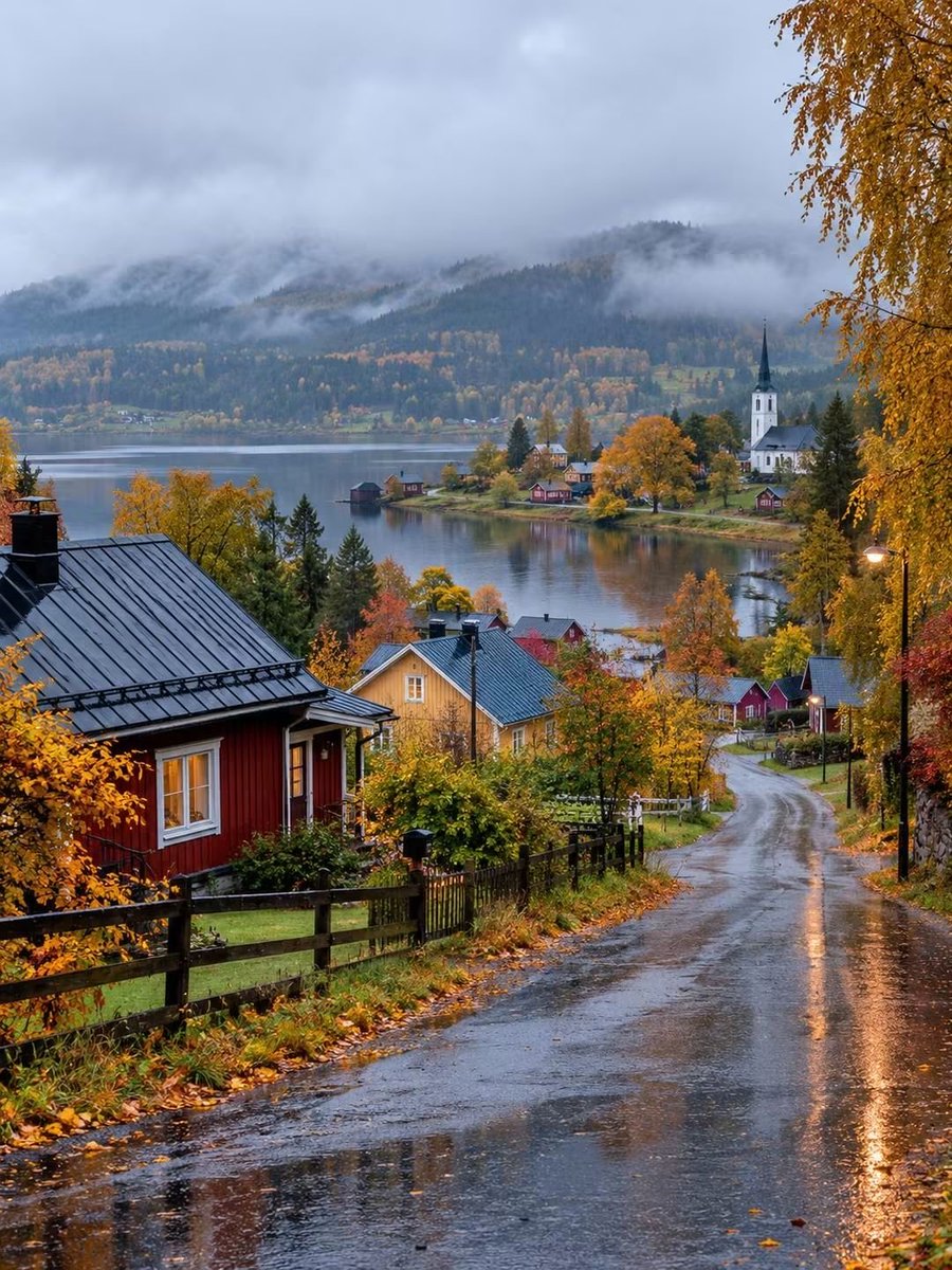 SeascapeNature's tweet photo. Autumn in Finland 🇫🇮 https://t.co/qedysUmGOd