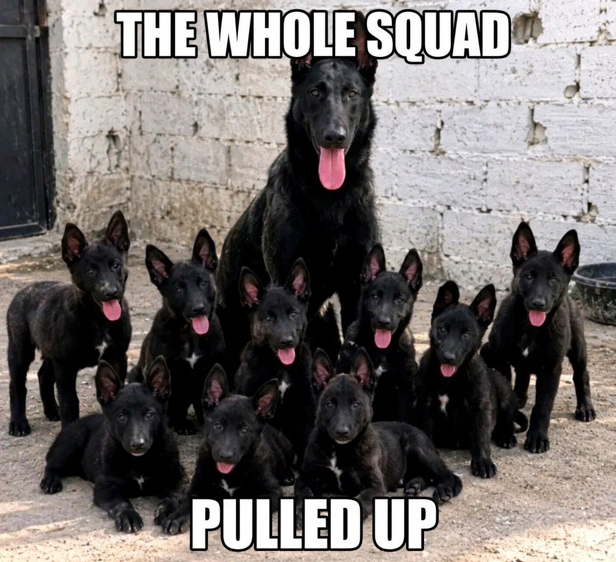 CapOrbitX's tweet photo. The while squad 👇 https://t.co/a2YgfbOf6W
