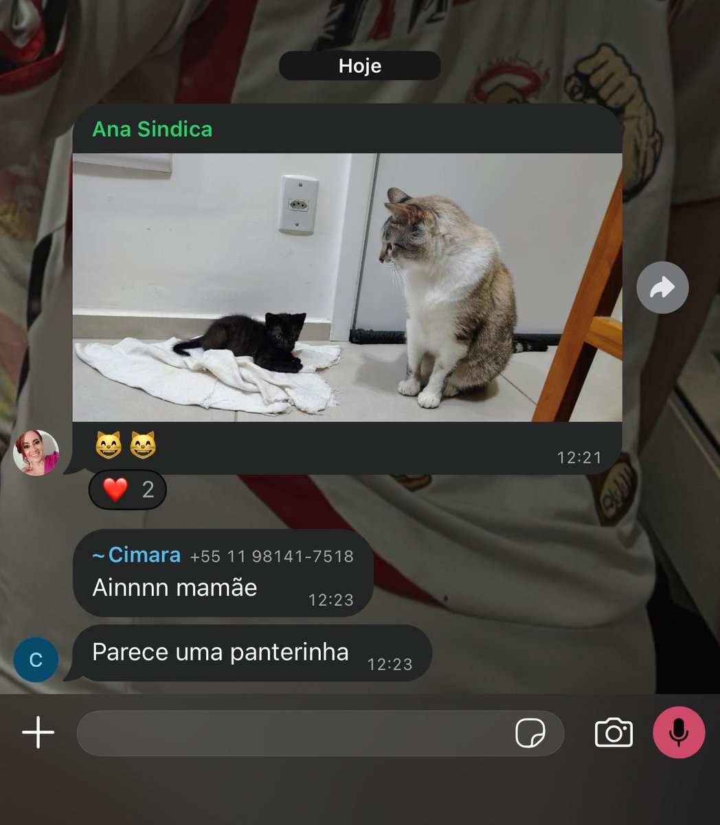 andrxde_08's tweet photo. Amo q aparentemente todos os moradores do meu predio são viciados em gatinhos, tal qual eu🤙🏻 https://t.co/vUl9m05J4p