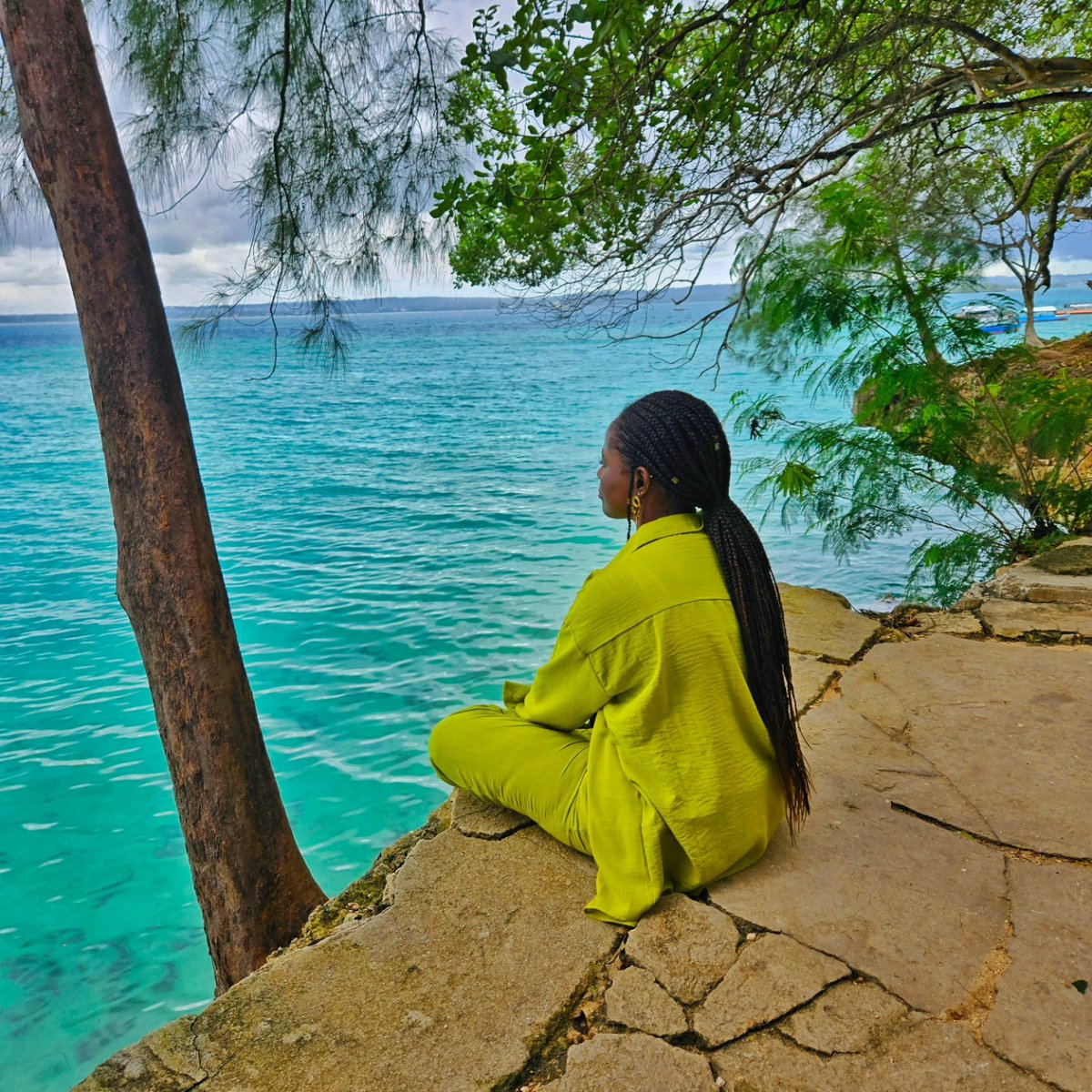 ameliabrownmbm4's tweet photo. Prison Island – Changuu Island. https://t.co/VCH2AYedA1