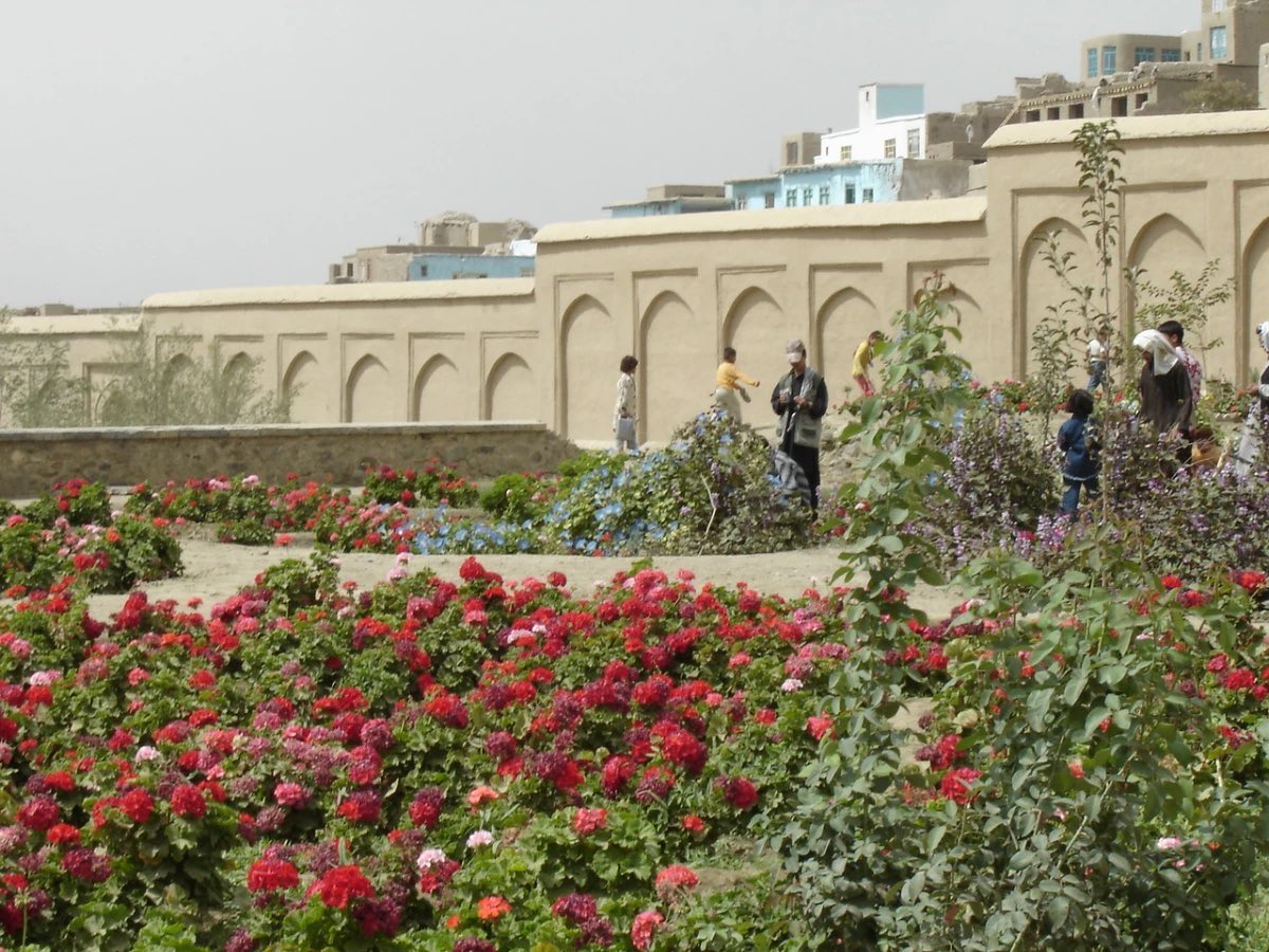 Bagh_eBabur's tweet photo. The garden of Turkic emperor Babur, built in the 16th century, Kabul, Afghanistan.

Under the Taliban regime, this park has been closed for women and non-Taliban. https://t.co/oqPYgWl5e1