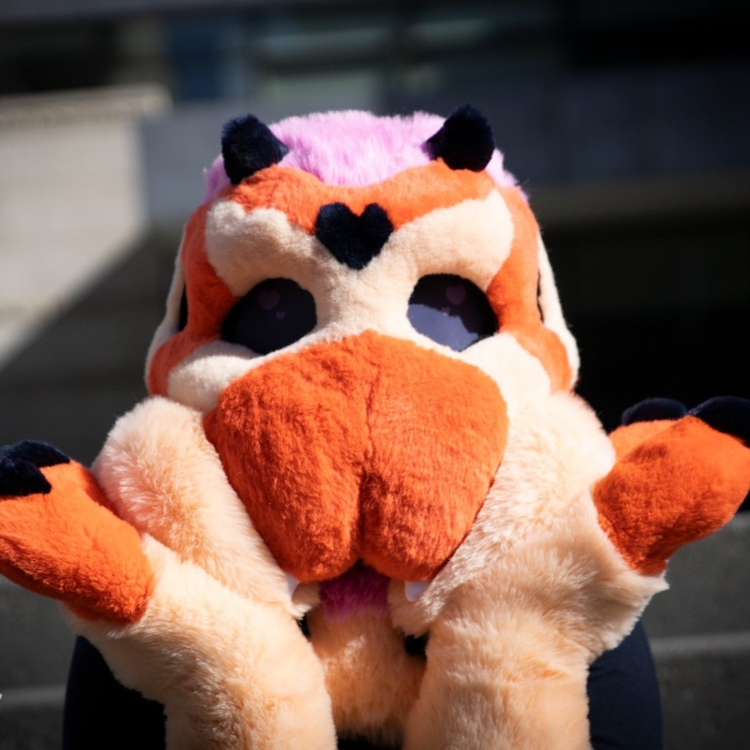 RETR0R0VER's tweet photo. Tego the jumping spider! Almost forgot to show yall this cool critter that debuted at FM :D 

gorgeous photos by @wild92aris https://t.co/YN39QTeDiM