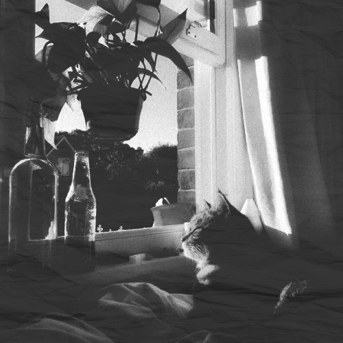 sonnetlust tweet picture