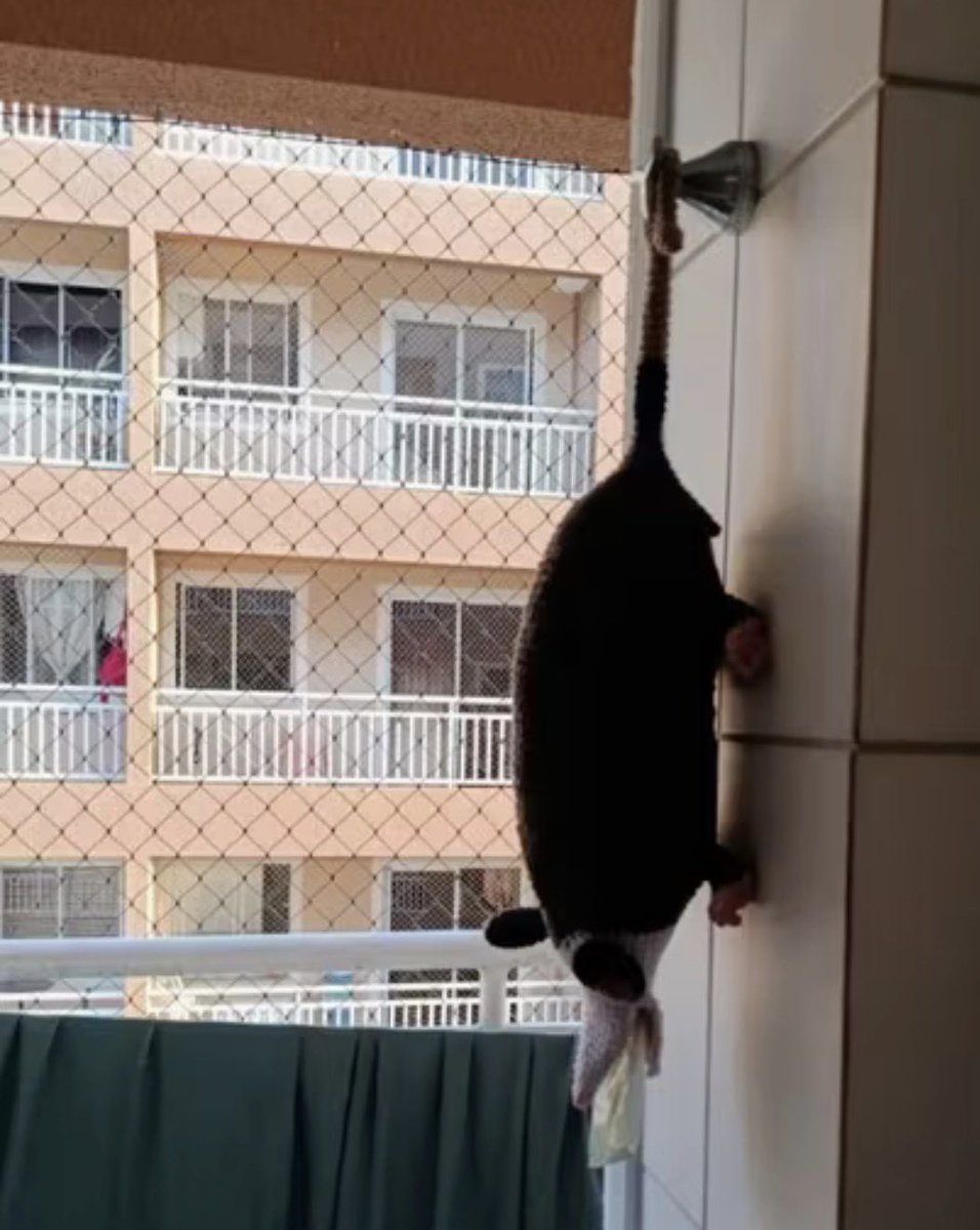 paginalixo1's tweet photo. a gente nunca sabe oq se passa na casa dos outros mesmo ne

me deparei com um sarue de puxa sacos https://t.co/h77CKbeEAW