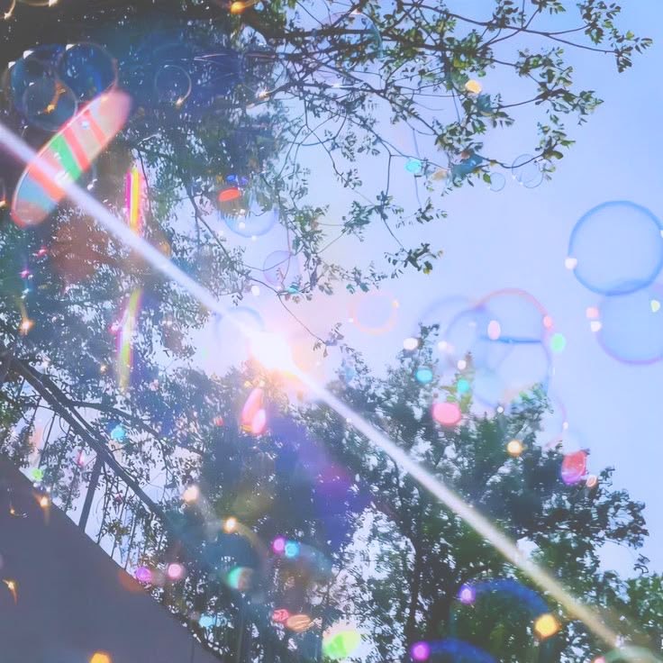 eclaiiress's tweet photo. —   ৴   ⌗ ᥴ̫ׅׄ𐑖𐐼เִ︩︪֟𐑩ᧉ เִ︩︪֟ղt͜𐑩𑄝  𝝑𝝔

  𐔌  :   18  —  mdnf plz! ꒰っ˕ -｡꒱১ 
she  ノ  they  ,  infj &amp; e1w2 ~
‹𝟹 : txt ༝ svt ult , ethel cain , politics &amp; history , nursing , typology 
‹/𝟹 : cmnts!
eng only , EST , white , agnostic კ
https://t.co/un5LwDZEuX https://t.co/lcI6FE7Rxs
