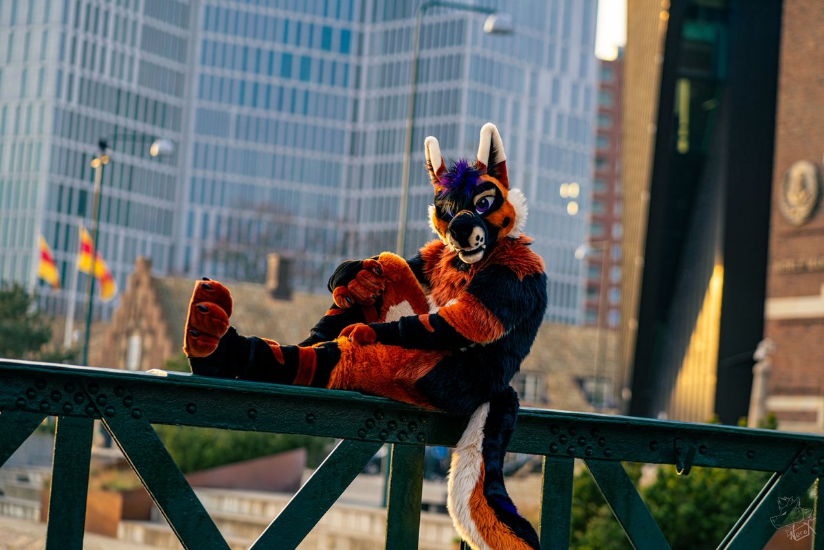 ArkyBarks's tweet photo. I wish everyone a good start into the week💜🥰 #MFYMonday 

📸: @fur_nerox 
🪡: @MadeFurYou https://t.co/oP65YprY6O