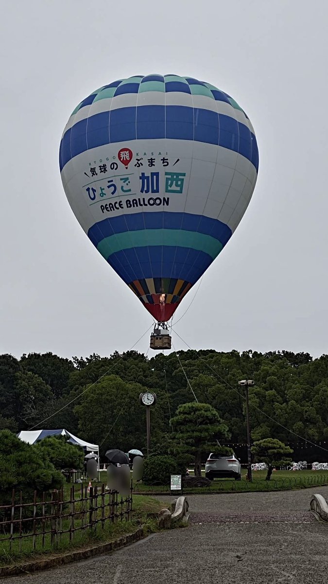 ryuo_yuso's tweet photo. https://t.co/V51SksbPRW