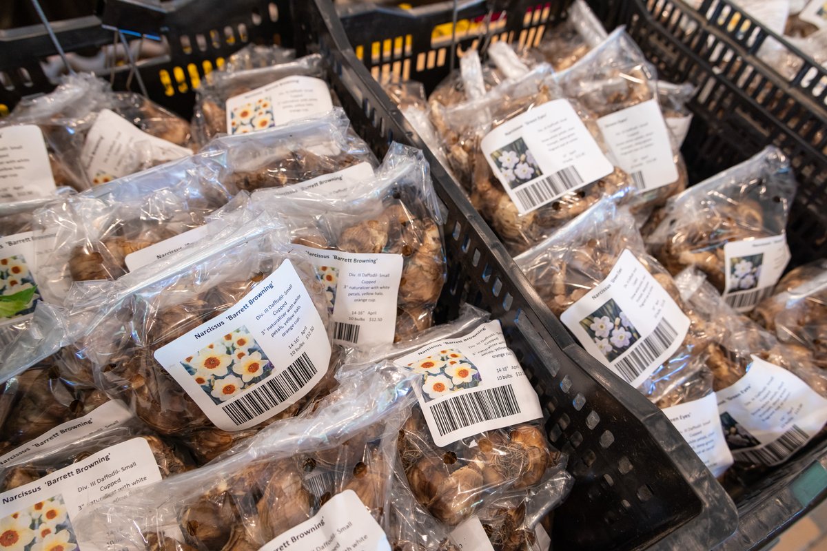 chicagobotanic's tweet photo. Give your spring garden a head start by planting bulbs from our Fall Bulb Sale. Shop a wide variety of daffodils, tulips, and more from the Woman’s Board of the Chicago Horticultural Society at the Garden Oct. 2–4. Plus, members get early access on Oct. 2: https://t.co/5oLrtlHwZh https://t.co/sSISd7atc9