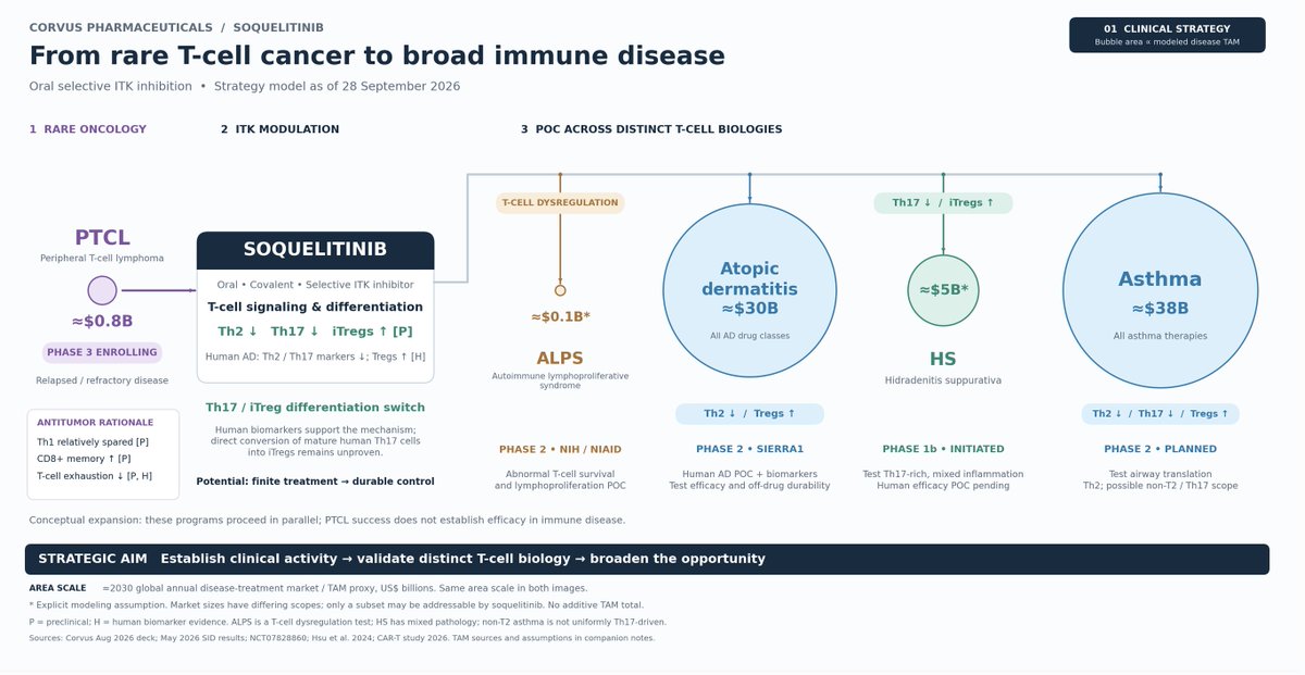 HOThomasWPhelps's tweet photo. $CRVS developing oral #ITK #soquelitinib targeted indications to validate each MOA component starting w/ rare oncology #PTCL, then large #Th2 disease atopic dermatitis, #Th17 #HS and finally assessing both Th2/Th17 in #asthma w/ #Tregs adding durability/immune rebalance potential https://t.co/DwiVVmrQiX