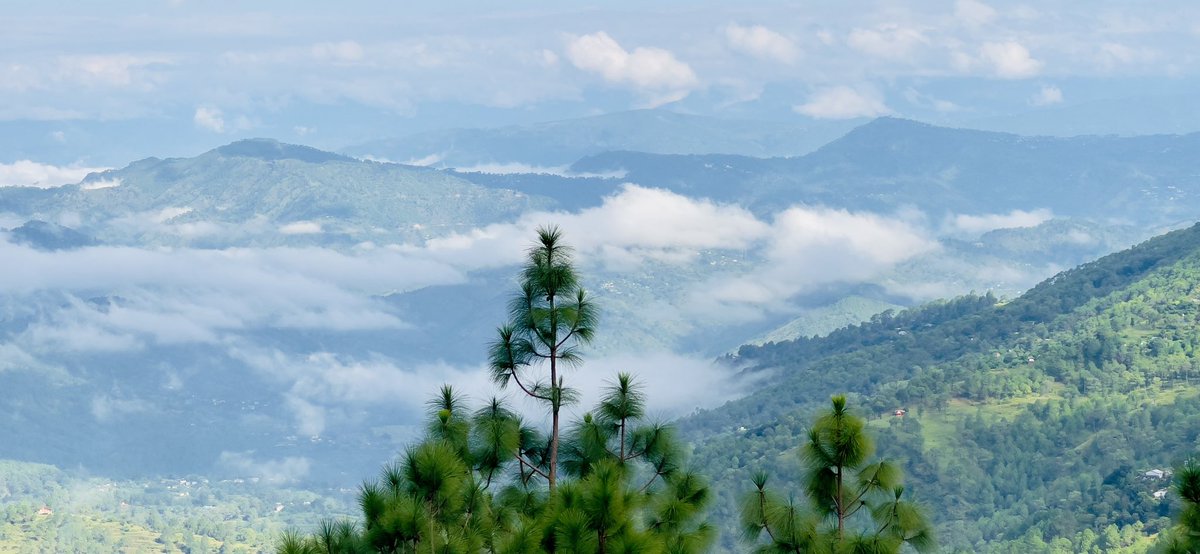 LyfInTransit's tweet photo. Monsoon clouds have been more than generous this year, now ready to retreat, leaving behind scent of the wet soil, lush green landscape and my heart is full 🫶
# Uttarakhand_रोज़ाना https://t.co/0a3Co8nnXp