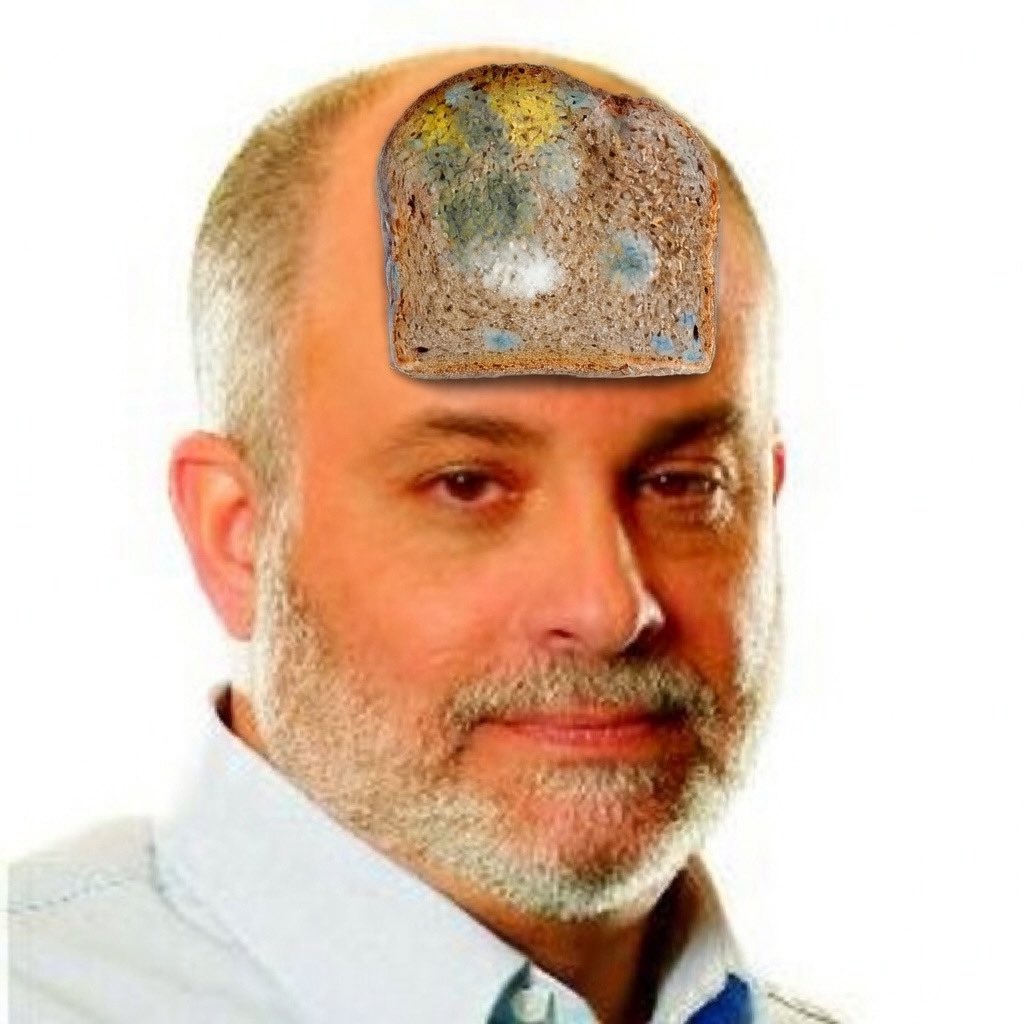 minutemen_us's tweet photo. 🚨BREAKING🚨

The U.S. Minutemen are officially declaring Mark Levin as a domestic terrorist.

We're sorry it took so long, but he's less interesting than moldy bread, so... https://t.co/anQuAjV2Ky